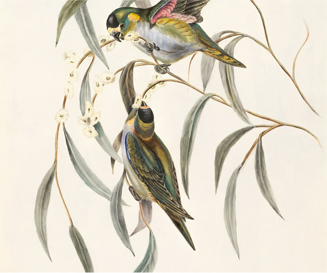 Painter Bianca Raffaella Is Registered Blind - and Depicts the World as She Sees It